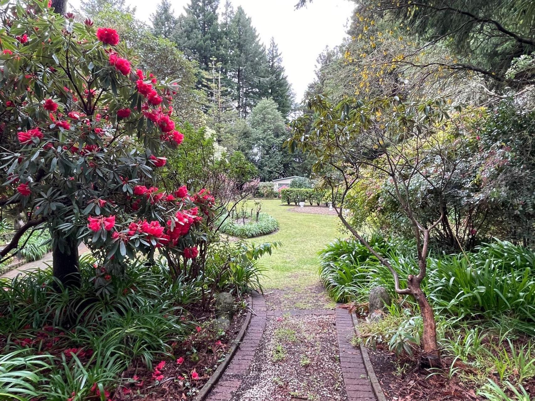 Garden Paradise In Rotorua With Pool Экстерьер фото